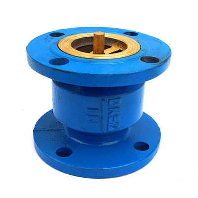 DN50 DN80 Duxtile Casting Iron Check Valve Body cho đường ống dầu